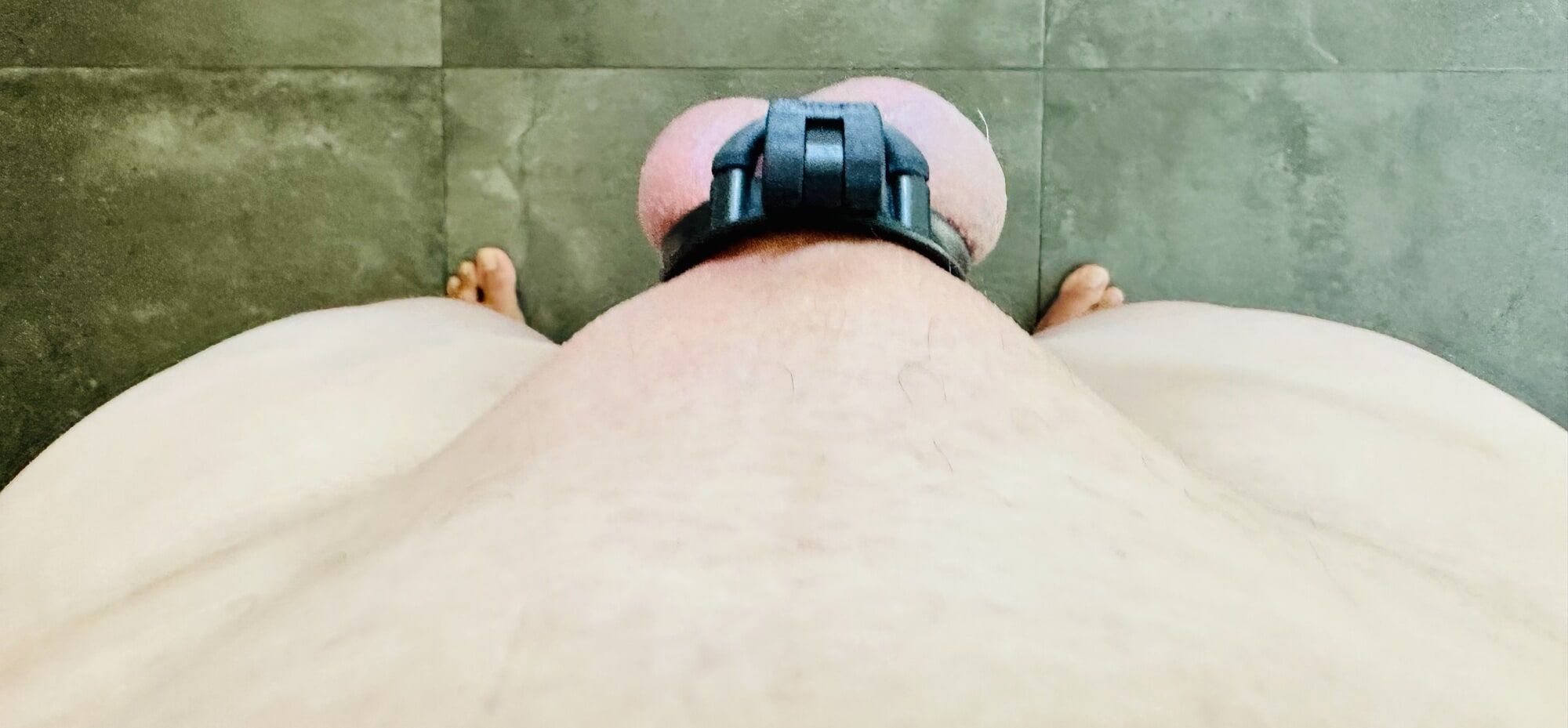 My sweet penis in a mini chastity belt #2