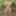 Jerk off in the woods