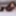 FEMOUT.XXX: As Right As Riley Raine