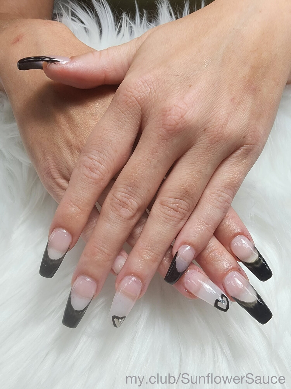 🌻 Sunflower.Sauce  Free Photos #12