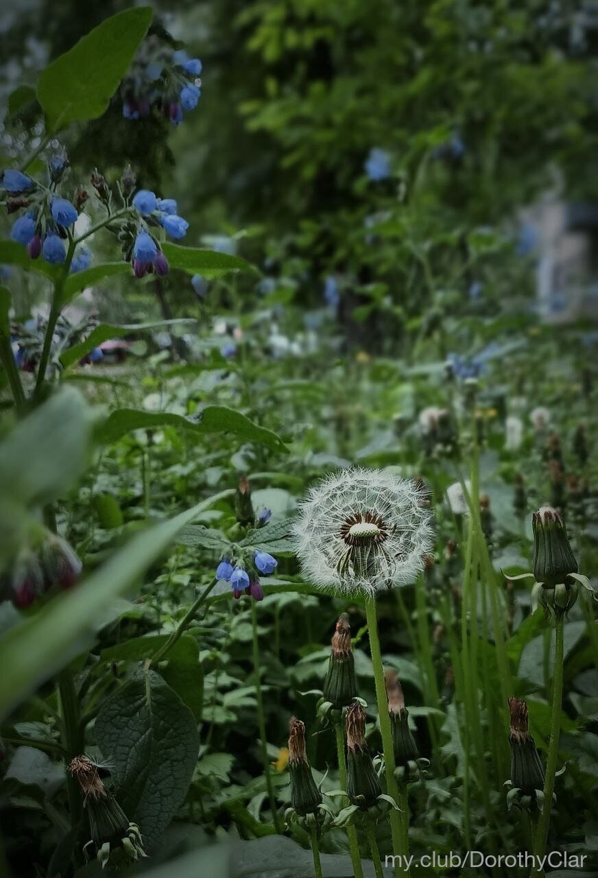 Agata & Isabelle Free Photos #52