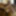 only fans preview