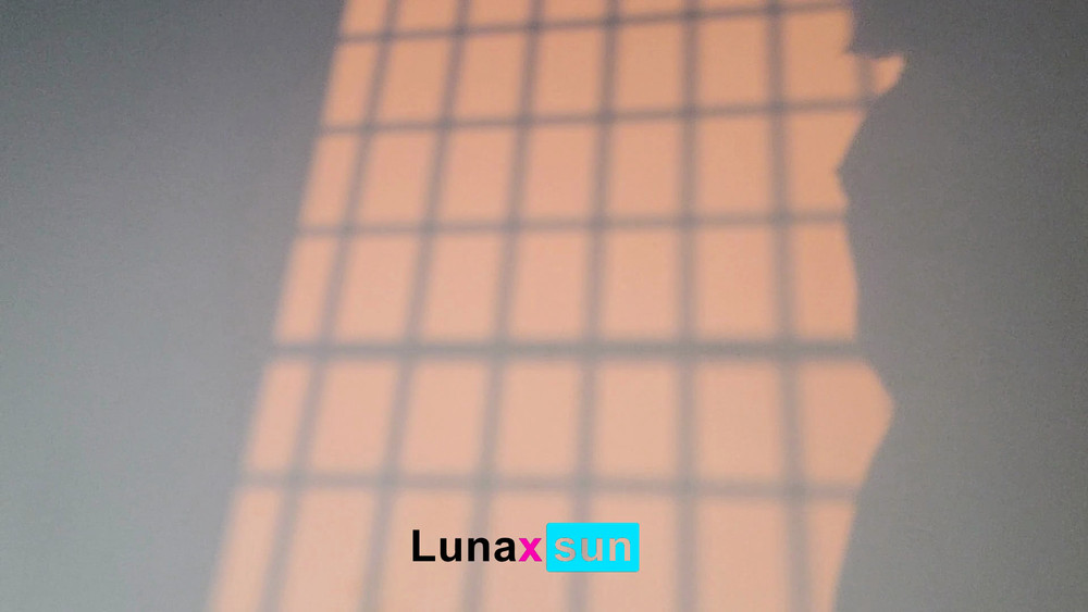 Luna's Daily Vlog #36