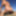 Public nude beach erection exposure