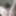 dusty lusty archive 4 #27