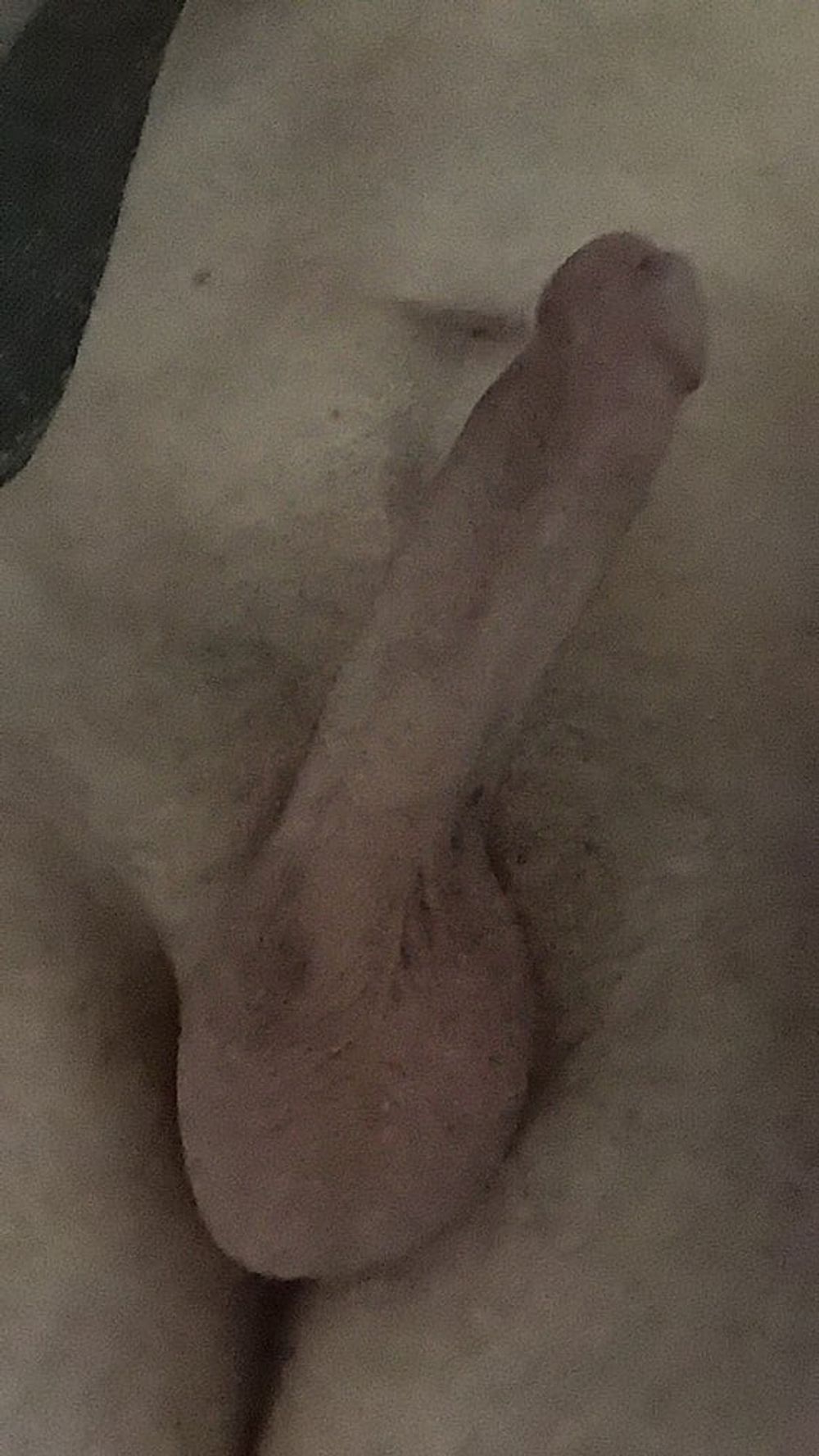 Hot pics of my dick #6