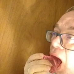 Dildo sucking