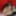Alisya JC weekly photos 42 Anal Dildo Gape #13