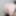 Vladaqueen yaraklı seksi kız