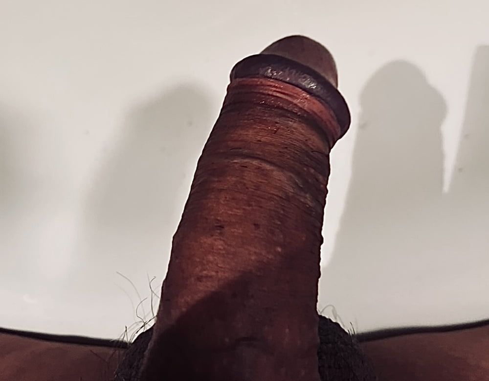 My Cock for you
