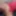 HANNAH Tanner 2023 pics