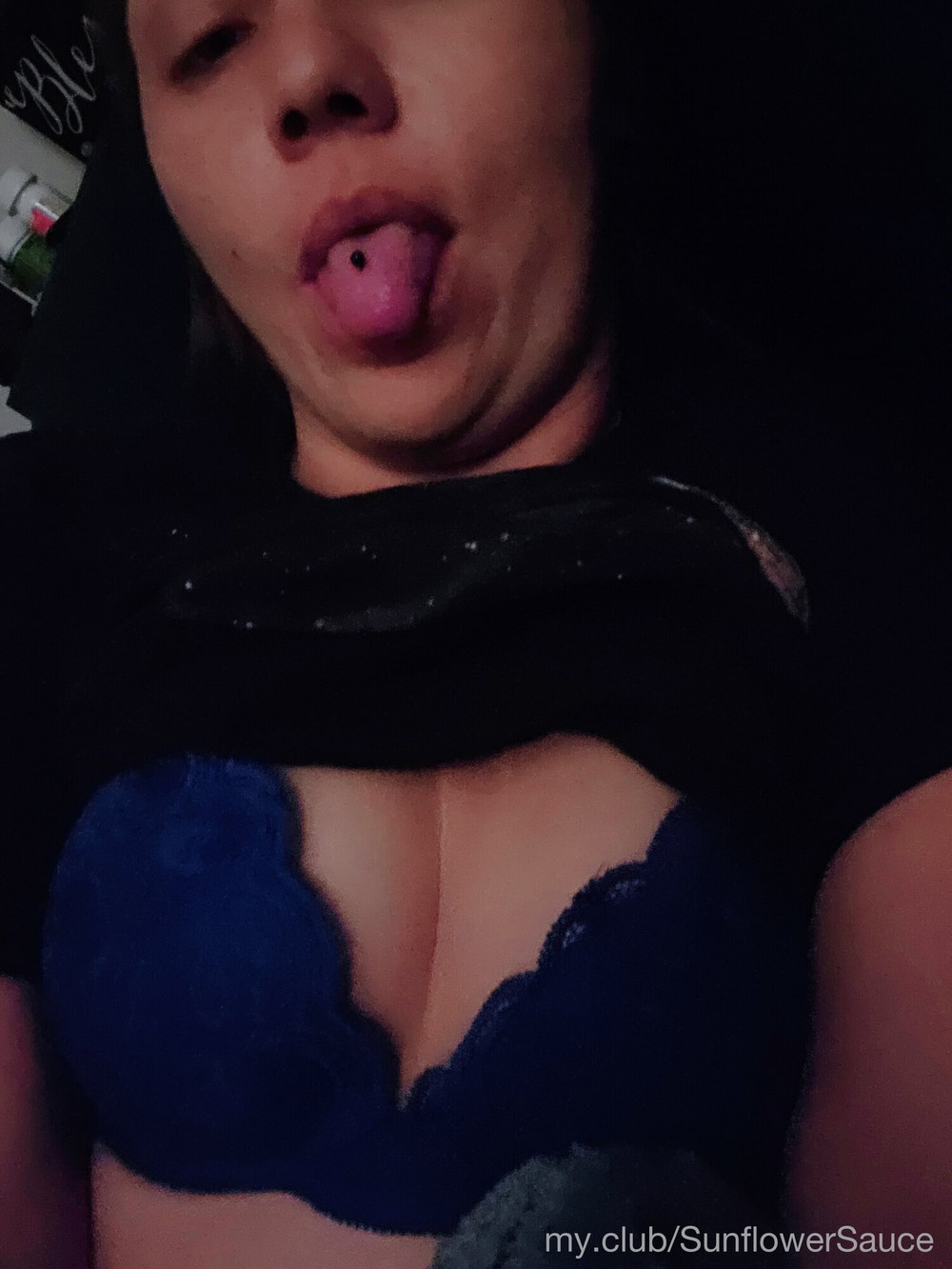 🌻 Sunflower.Sauce  Free Photos #15