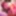 Interracial Blowjob in HD