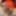 Tranny Premature Cumshot In Red Corset