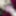 cumshot lover big cock on wife 