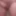 Small cock. #12