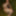 Amateur mature mom blows BBC like true whore PART 2 #25