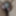 Weighing, Cagecheck, fuck with the plug on July 27th, 2023 #9