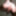 Kinky Posing Slutty Evelina 11