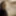 Free Aria Photos