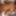 4k Everything Msnovember #1 Creampie Nipple BDSM Blowjob Ass