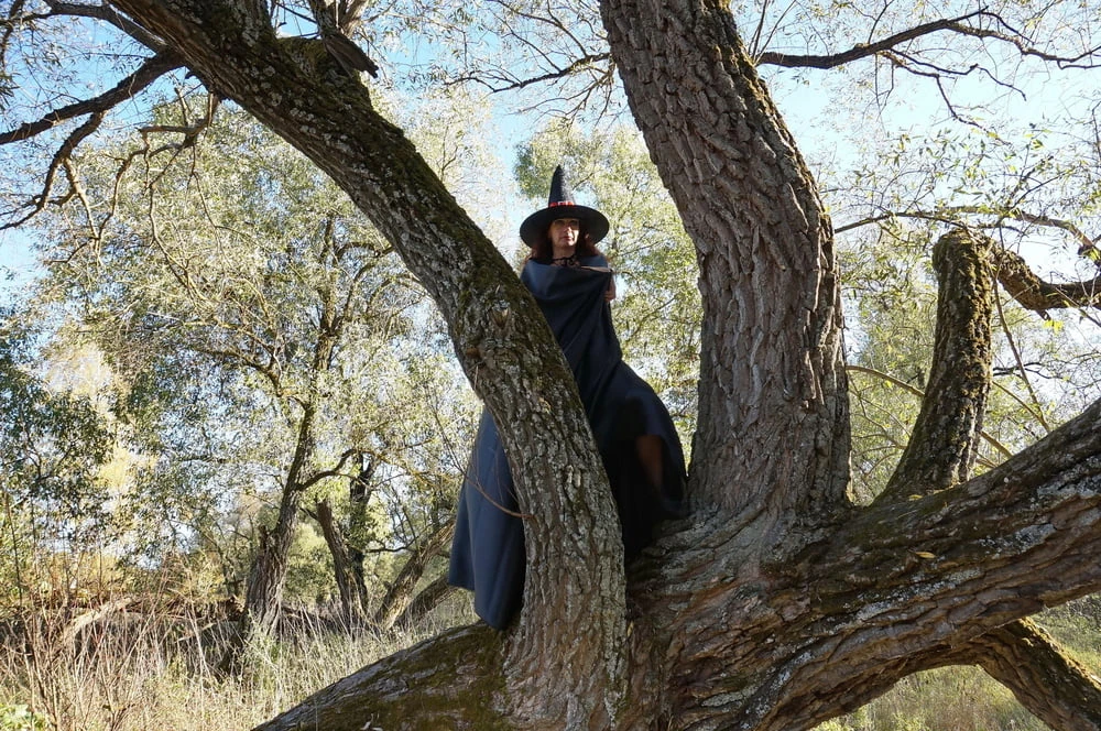 Witch on the Tree #3