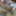 NEW 2019 Pics #29
