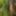 Nature wank and weightloss #3