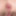 Squirt in anal #14