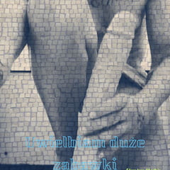 我喜欢这个玩具