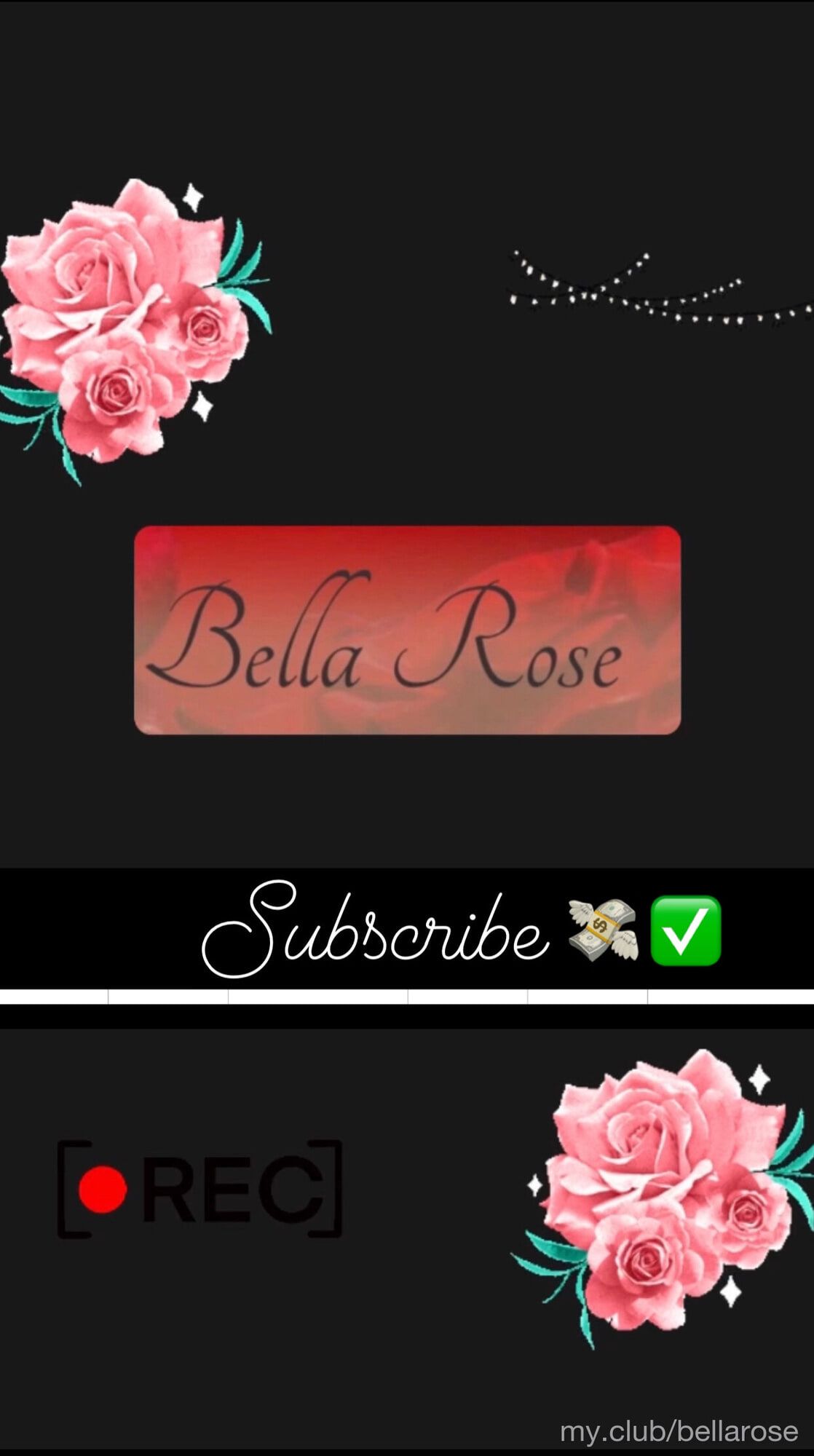 Bella Rose 🌹 Free Photos #2