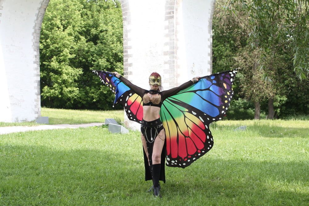 Wings of Butterfly #30