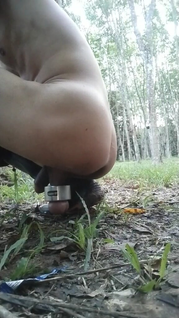 My pig hole #2