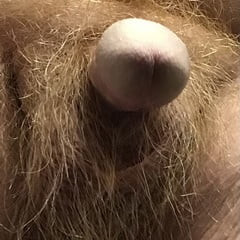 More Dick