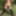 Very nice and nude girl in the forest 