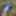 Cover up, reveal #8