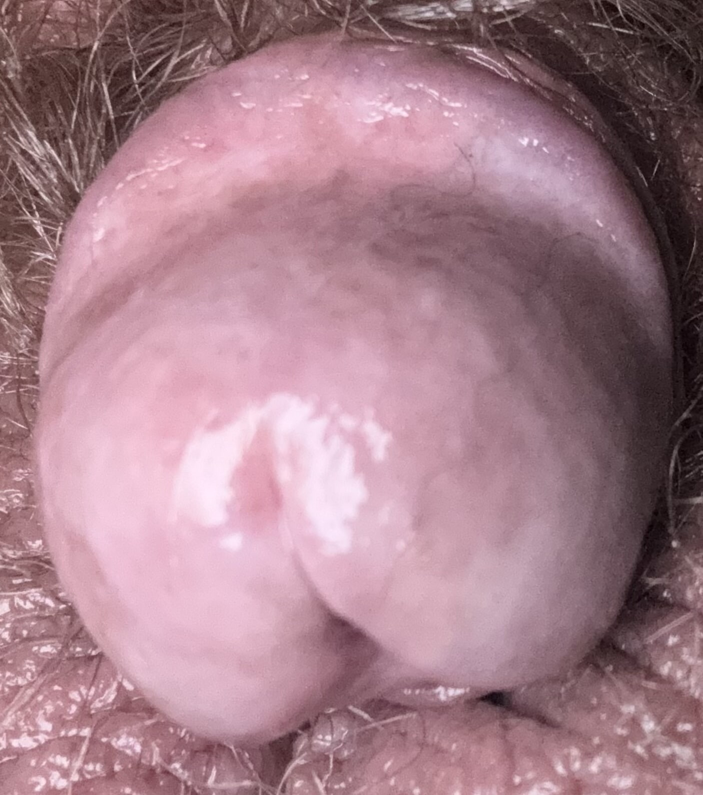 Just the tip