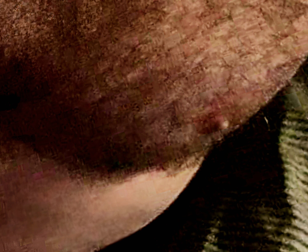 Hairy Chest, Shaved Balls, Tied Ass #9