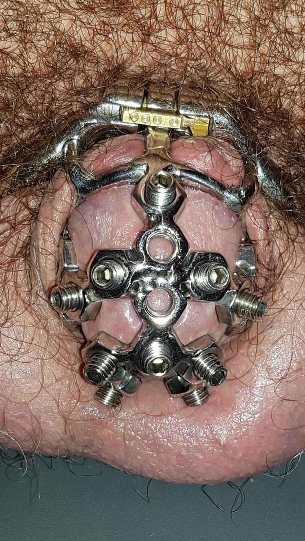 Chastity cage #15