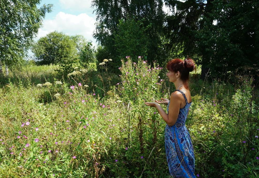 In blue dress in field #7