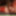 sounding dildo lingerie 15