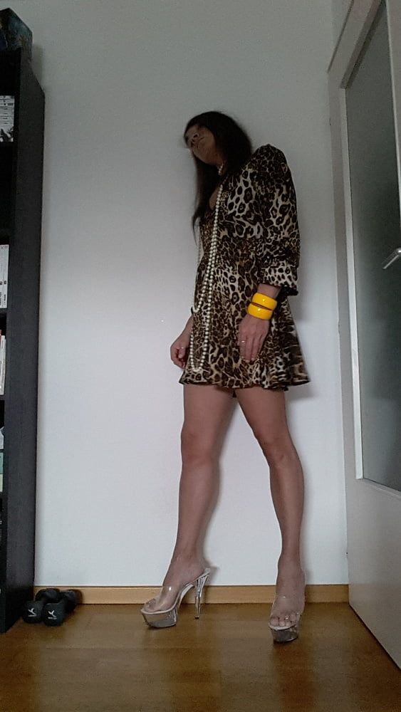 Tygra in her new leopard dress. #5