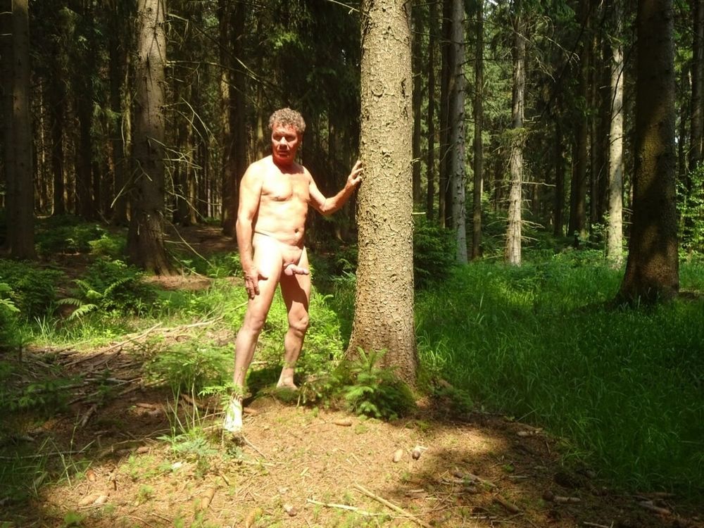 Matti am Waldrand, Shaved Men Outdoor Forest #5