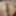 Amateur Mature MILF Doggytyle Fuck GIF