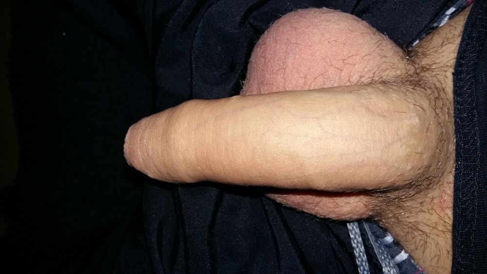 My German Cock