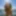 Beach time with hot trans man and porn model