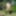 Princess Leia Organa Slave girl Cosplay in the Garden