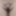 Horny duty Weighing, Cagecheck, plugcheck August 03, 2023 #10