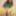 Fucking bitch Lisa in green pantyhose #23