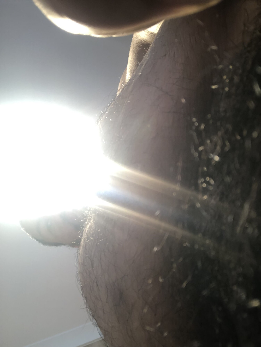 Hairy #2